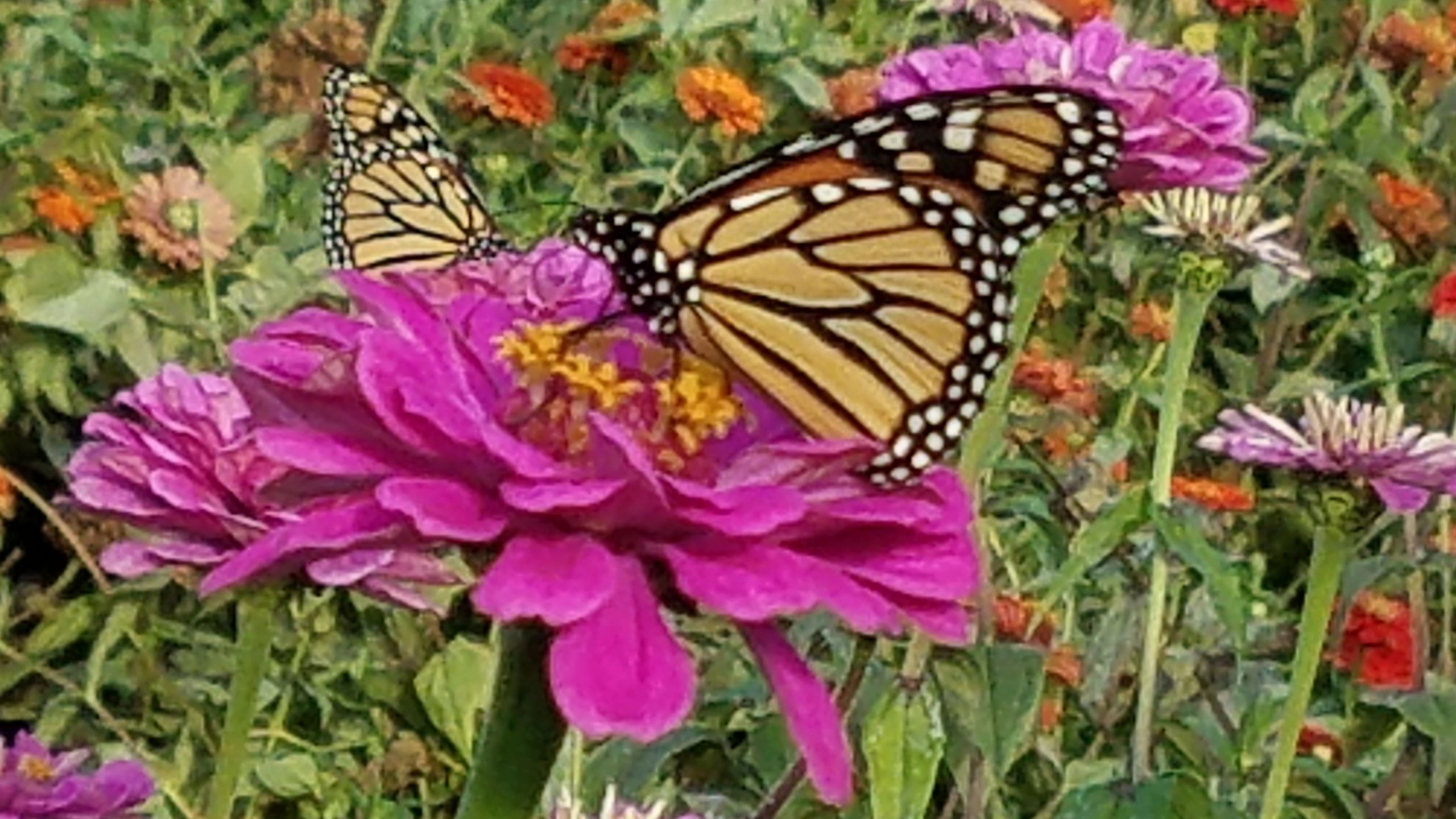 Environmental field assessment