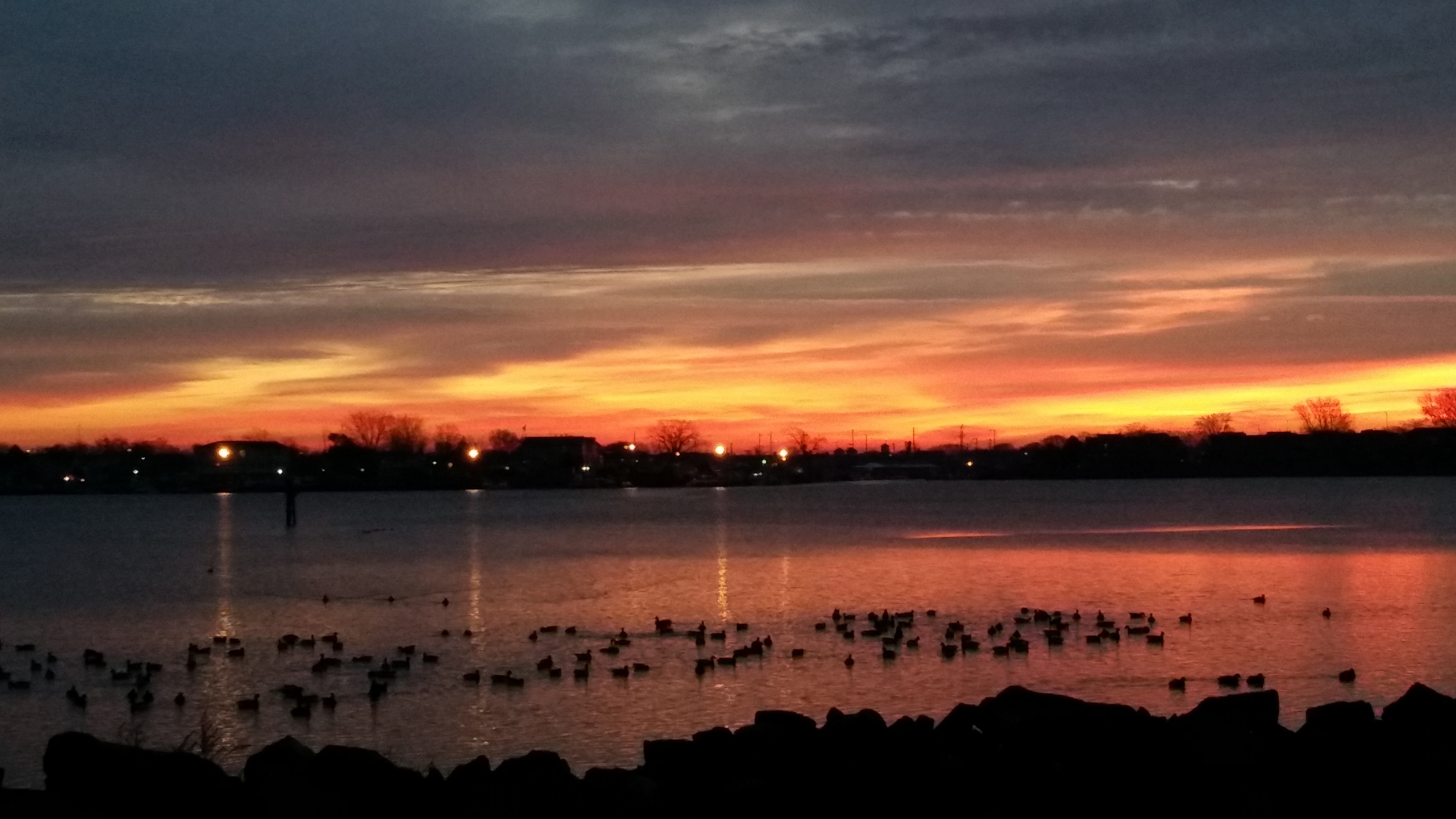 Fiery sunset over New Jersey coastal waters with geese